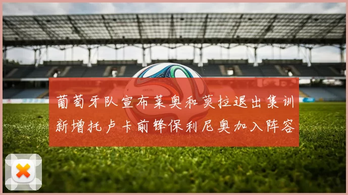葡萄牙队宣布莱奥和莫拉退出集训新增托卢卡前锋保利尼奥加入阵容