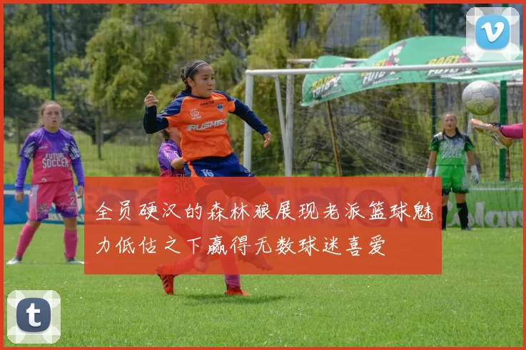 全员硬汉的森林狼展现老派篮球魅力低估之下赢得无数球迷喜爱